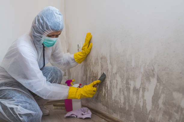 Best Crawl Space Mold Removal  in Clarksville, VA