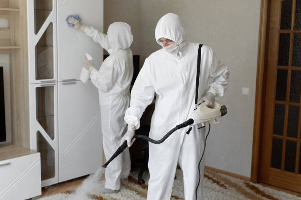 Trusted Clarksville, VA Mold Removal Experts