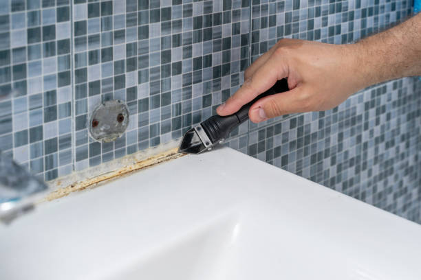 Best Black Mold Removal  in Clarksville, VA