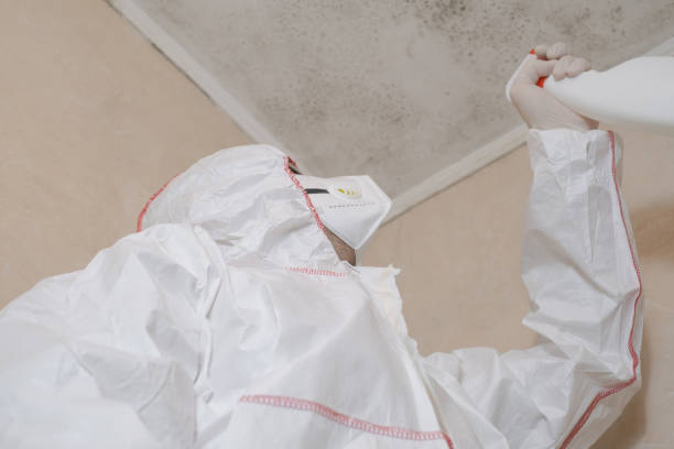 Best Attic Mold Removal  in Clarksville, VA