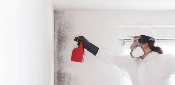 Best Office Mold Removal Services  in Clarksville, VA