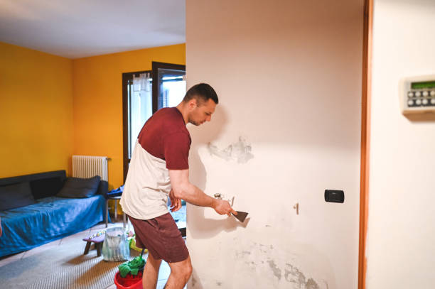 Best Mold Removal Company Near Me  in Clarksville, VA