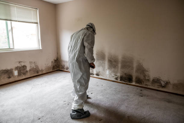 Best Emergency Mold Removal  in Clarksville, VA