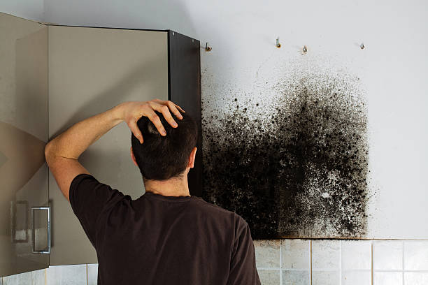 Best Professional Mold Removal  in Clarksville, VA